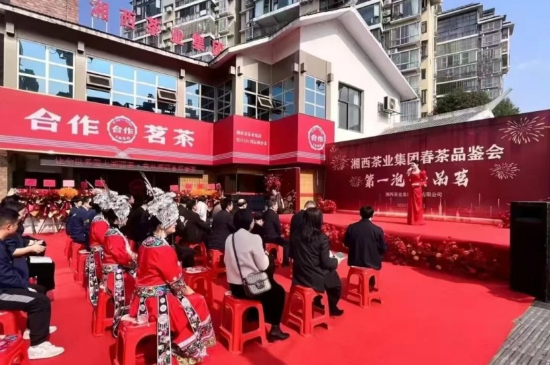湘西茶业集团“湘西第一杯春茶”品鉴会暨集团合作茗茶吉首店开业仪式隆重举行