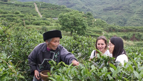 湖南省茶业集团股份有限公司产教融合校企合作三年规划（2022-2024年）