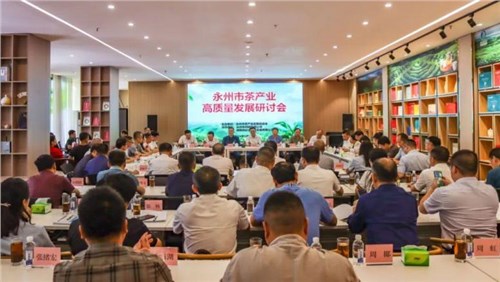 集团潇湘茶业受邀出席永州市茶产业高质量发展研讨会
