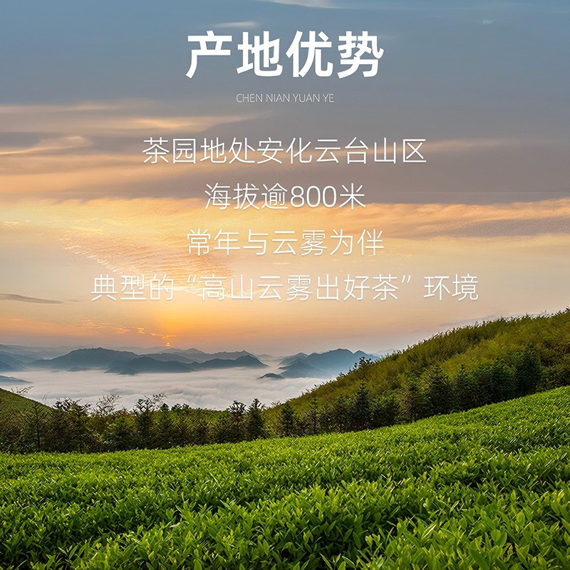 2025年陈年256g